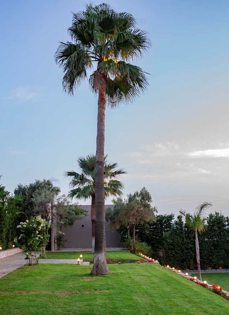 Πετρόχτιστα καταπράσινα επίπεδα